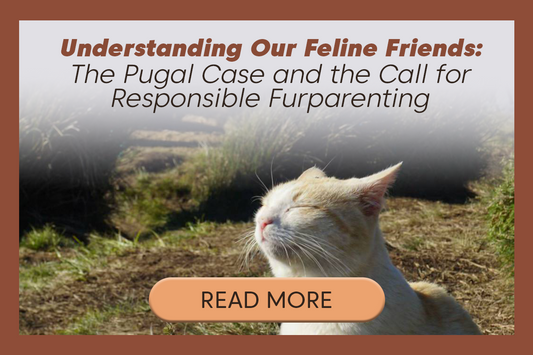 The Pugal Case and the Call for Responsible Furparenting