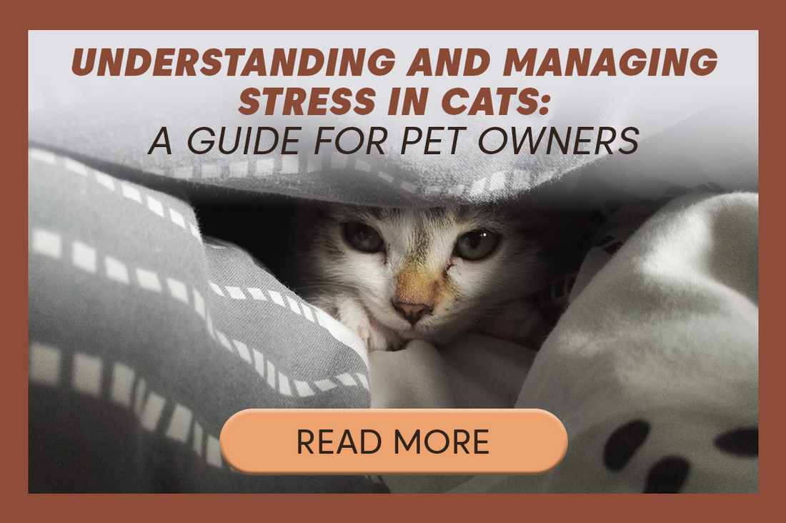 A Guide for Pet Owners