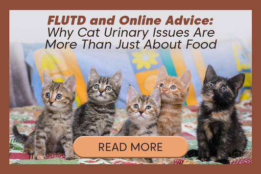 Why Cat Urinary Issues Are More Than Just Food